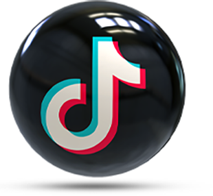 TikTok Logo